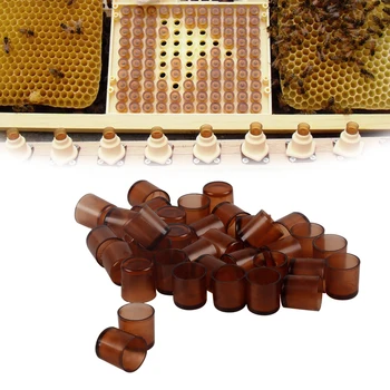 110 шт|Пчеловодство Пчелиные Маточники Система Выращивания Никотиновых Личинок Оборудование Для Пчеловодства Инструменты Для Пчеловодства Улей Для Пчеловода